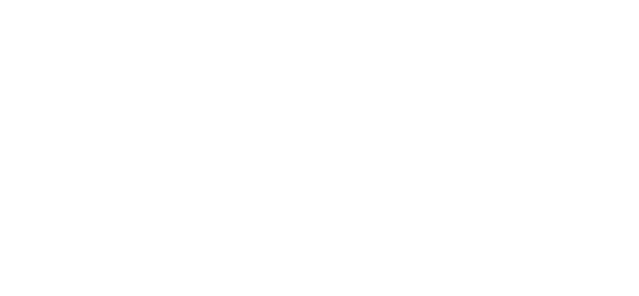 Santoy Distribution